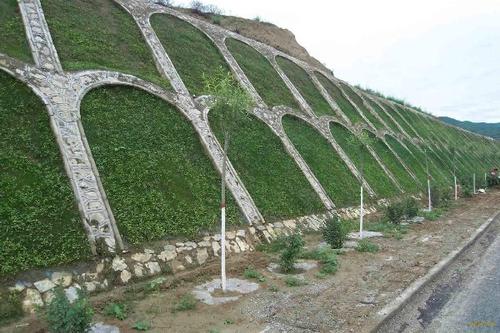 1591106266281341.jpg 护坡工程2.jpg